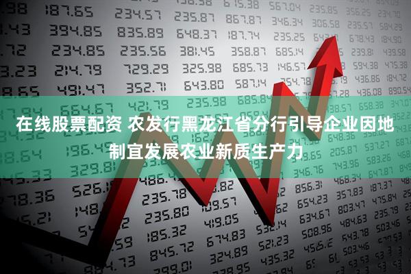 在线股票配资 农发行黑龙江省分行引导企业因地制宜发展农业新质生产力